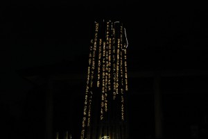 IMG_3232